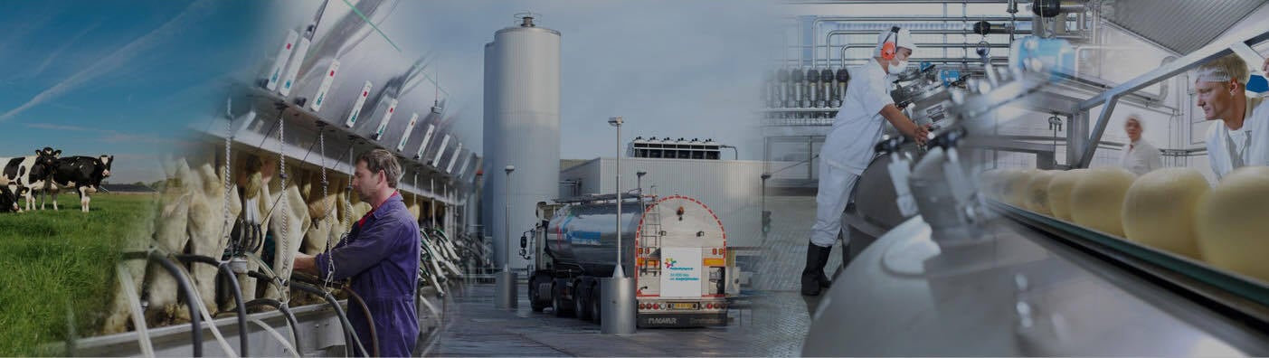 A FrieslandCampina production location